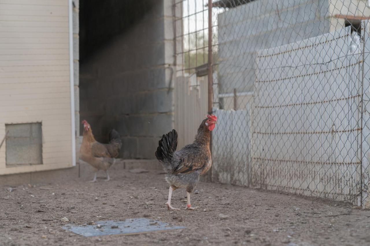 Alojamiento Rural Junto A Via Verde Olvera Εξωτερικό φωτογραφία